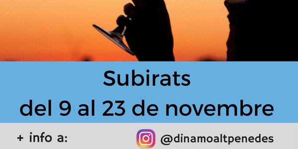CURS D'INTRODUCCIÓ AL TAST DE VINS A SUBIRATS (suspès)