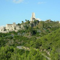 Img 03
