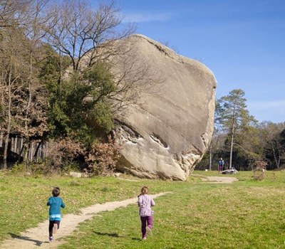 24 de maig Dia europeu dels Parcs 2020