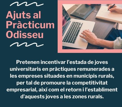 Ajuts al Pràcticum Odisseu