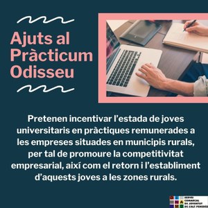 Ajuts al Pràcticum Odisseu