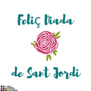 Aquest any, toca una Diada diferent