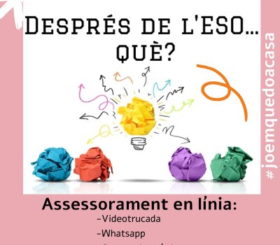 Assessoria acadèmica en línia