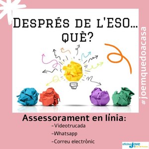 Assessoria acadèmica en línia