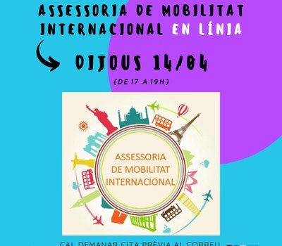 ASSESSORIA DE MOBILITAT INTERNACIONAL EN LÍNIA