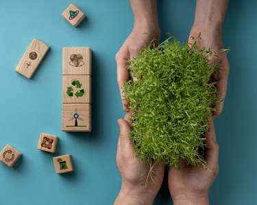 AVUI 26 DE GENER DIA MUNDIAL DE L'EDUCACIÓ AMBIENTAL