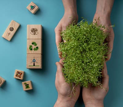 AVUI 26 DE GENER DIA MUNDIAL DE L'EDUCACIÓ AMBIENTAL