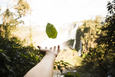 AVUI DIA MUNDIAL DEL MEDI AMBIENT