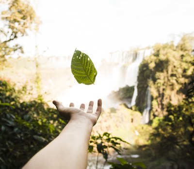 AVUI DIA MUNDIAL DEL MEDI AMBIENT