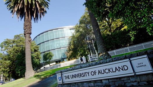 Beques de la Universitat d’Auckland per a estudiants internacionals