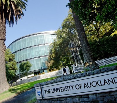 Beques de la Universitat d’Auckland per a estudiants internacionals
