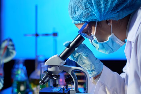 BEQUES DE POSTDOCTORAT PER INVESTIGACIÓ A PORTUGAL