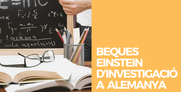 BEQUES EINSTEIN D’INVESTIGACIÓ A ALEMANYA