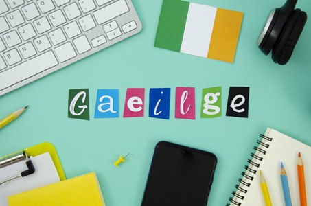 BEQUES EUROLINGUA PER ESTUDIAR ANGLÈS A IRLANDA