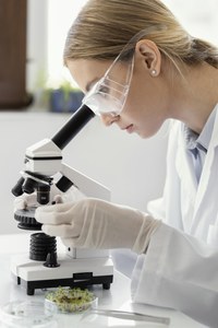 BEQUES FREIGEIST D'INVESTIGACIÓ A ALEMANYA