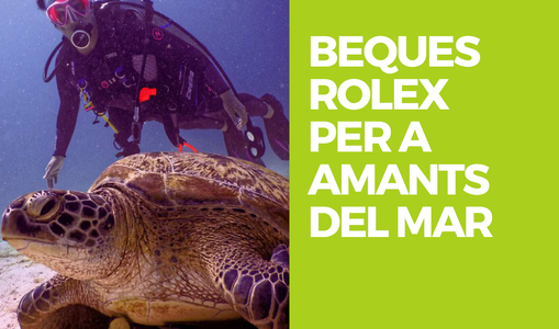 BEQUES ROLEX