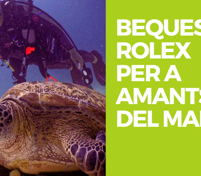 BEQUES ROLEX
