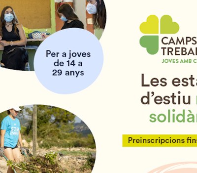 CAMPS DE TREBALL