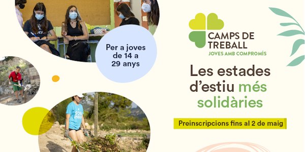 CAMPS DE TREBALL
