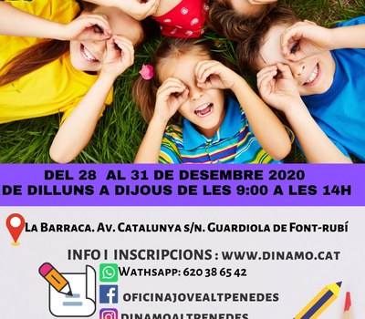 CURS DE PREMONITOR/A DE LLEURE