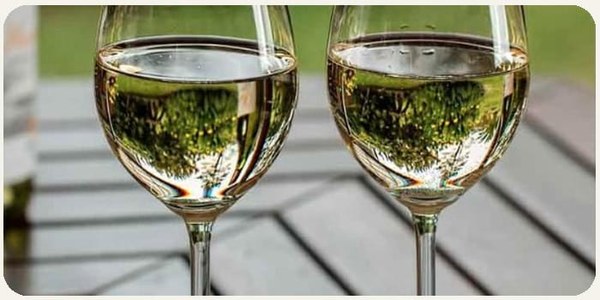 Els vins del Penedès online