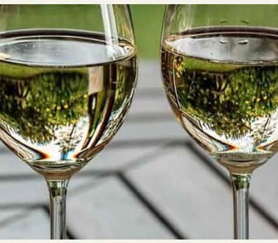 Els vins del Penedès online