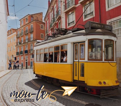 Es busquen joves per projectes del Cos Europeu de Solidaritat a Portugal durant 9 i 10 mesos
