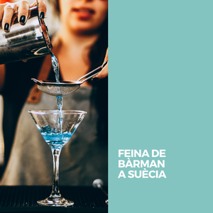 FEINA DE BÀRMAN A SUÈCIA