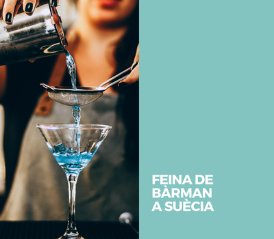 FEINA DE BÀRMAN A SUÈCIA