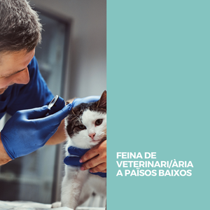 FEINA DE VETERINARI/ÀRIA A PAÏSOS BAIXOS