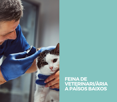 FEINA DE VETERINARI/ÀRIA A PAÏSOS BAIXOS