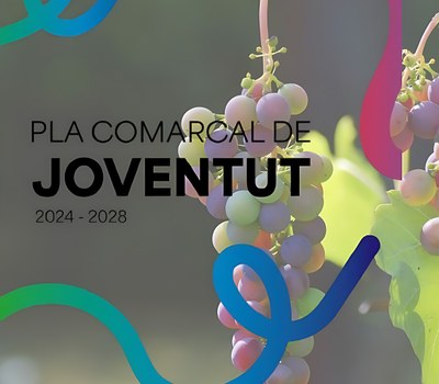 PLA COMARCAL DE JOVENTUT DE L’ALT PENEDÈS 2024-2028