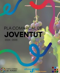 PLA COMARCAL DE JOVENTUT DE L’ALT PENEDÈS 2024-2028