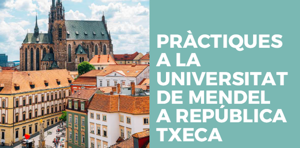 PRÀCTIQUES  A LA  UNIVERSITAT  DE MENDEL  A REPÚBLICA  TXECARRADES