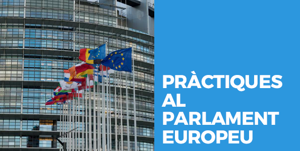 PRÀCTIQUES AL PARLAMENT EUROPEU