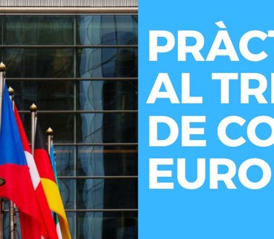 PRÀCTIQUES AL TRIBUNAL DE COMPTES EUROPEU