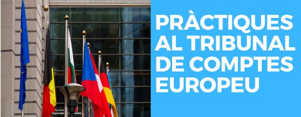 PRÀCTIQUES AL TRIBUNAL DE COMPTES EUROPEU