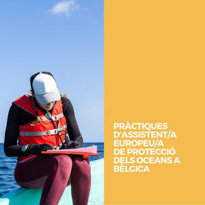 PRÀCTIQUES D’ASSISTENT/A EUROPEU/A DEPROTECCIÓ DELS OCEANSA BÈLGICA