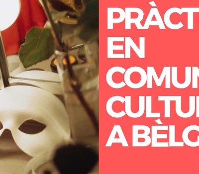 PRÀCTIQUES EN COMUNICACIÓ CULTURAL A BÈLGICA