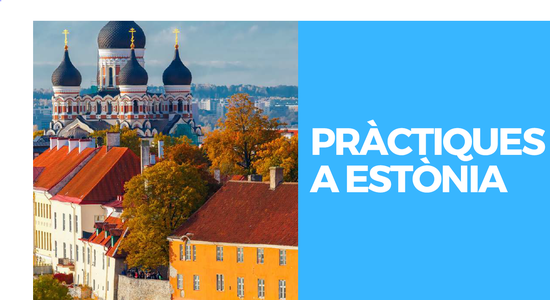 Practiques Estonia
