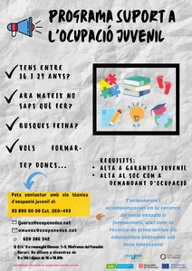 PROGRAMA DE SUPORT A L'OCUPACIÓ JUVENIL