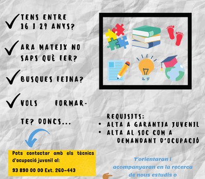 PROGRAMA DE SUPORT A L'OCUPACIÓ JUVENIL