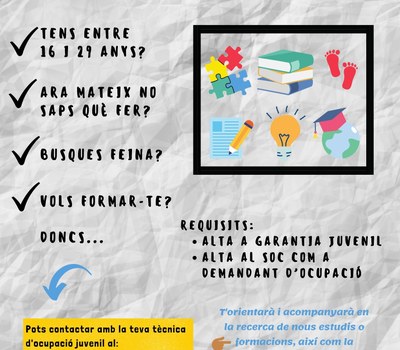 SUPORT A L'OCUPACIÓ JUVENIL
