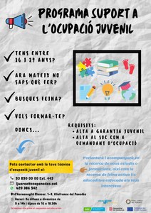 SUPORT A L'OCUPACIÓ JUVENIL