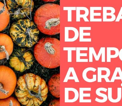 TREBALL DE TEMPORADA A GRANGES DE SUÏSSA