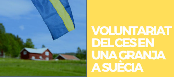 VOLUNTARIAT DEL CES EN UNA GRANJA A SUÈCIA