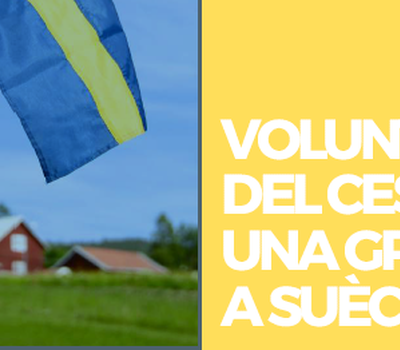 VOLUNTARIAT DEL CES EN UNA GRANJA A SUÈCIA