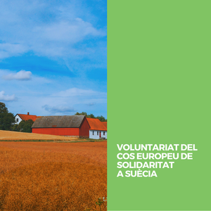 VOLUNTARIAT DEL COS EUROPEU DE SOLIDARITAT A SUÈCIA