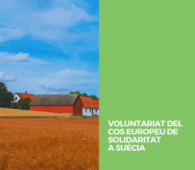 VOLUNTARIAT DEL COS EUROPEU DE SOLIDARITAT A SUÈCIA