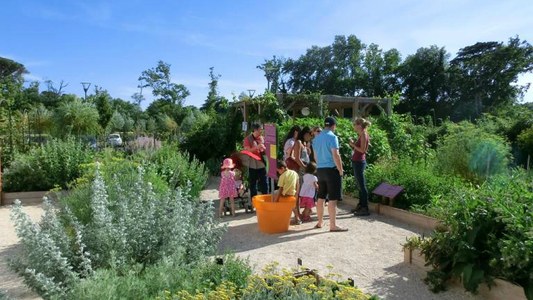 Voluntariat  Europeu en un projecte d’agricultura ecològica a França